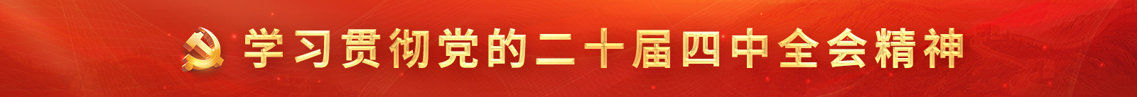 进建贯彻党的二十届四中全会心灵
